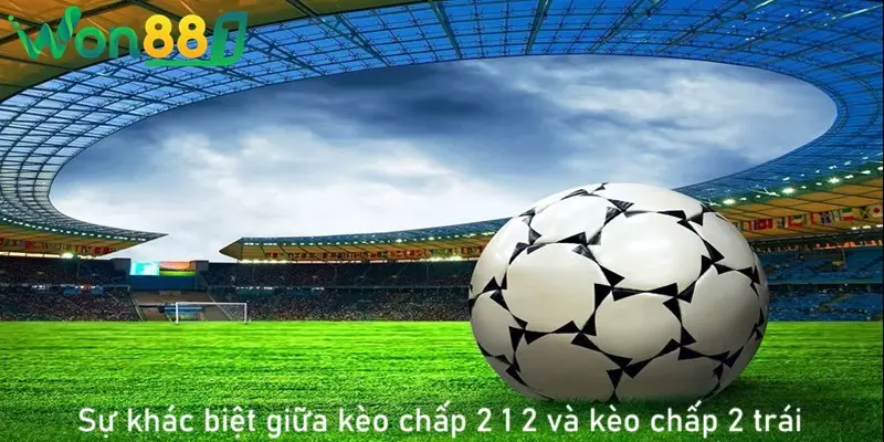 Su khac biet giua keo chap 2 1 2 va keo chap 2 trai Su khac biet giua keo chap 2 1 2 va keo chap 2 trai