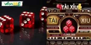 all in trong tai xiu la gi