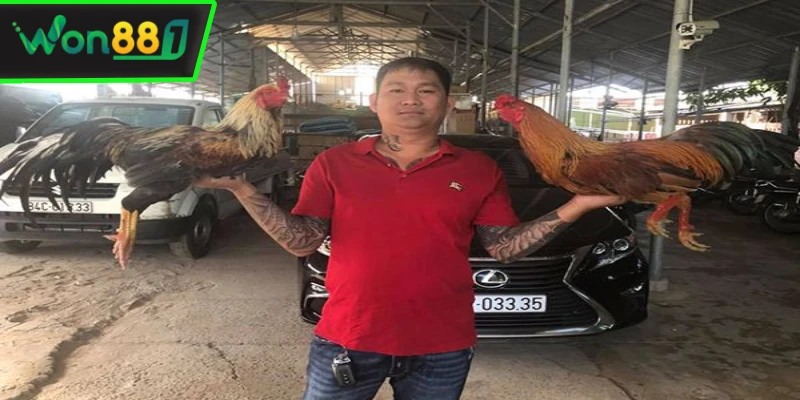 anh phuc binh duong da chuan bi rat ky cho man so tai Anh Phúc Bình Dương đã chuẩn bị rất kỹ cho màn so tài