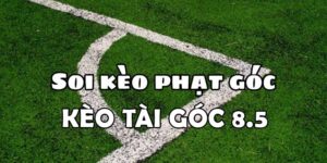 Kèo tài góc 8.5 là gì? Kinh nghiệm soi kèo tài góc 8.5 dễ ăn tiền