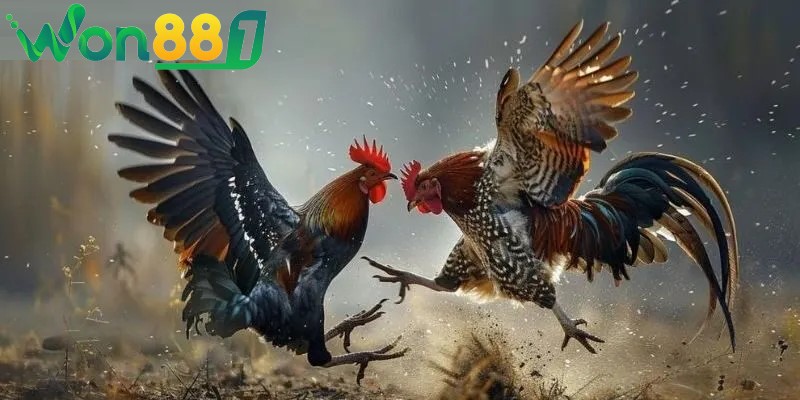 san choi co cong nghe livestream dinh cao Sân chơi có công nghệ livestream đỉnh cao